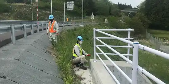 高速道路調査